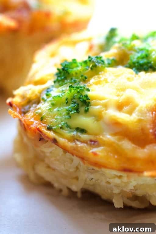 Grab-and-Go Savory Egg Tarts 4 A close-up view of a single Spaghetti Squash Broccoli Bacon and Cheddar Mini Quiche, showcasing its vibrant ingredients and perfectly baked texture.