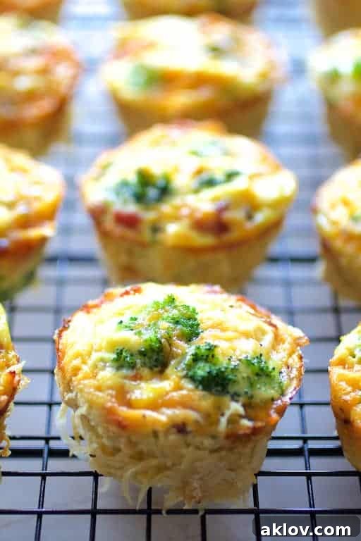 Grab-and-Go Savory Egg Tarts 7 Freshly baked Spaghetti Squash Broccoli Bacon and Cheddar Mini Quiches neatly arranged on a cooling rack, glistening and ready to enjoy.