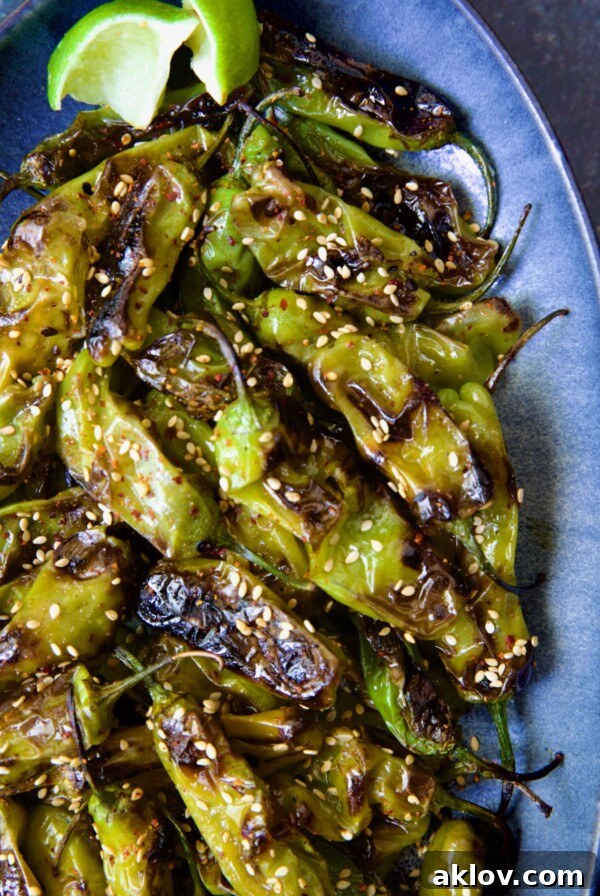 Blistered Shishito Peppers on blue oval platter garnished with sesame seeds.