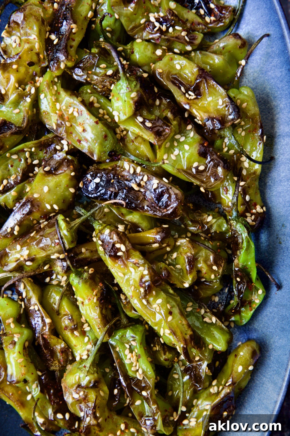 A close-up of blistered shishito peppers artfully arranged on a blue oval platter, sprinkled with toasted sesame seeds.