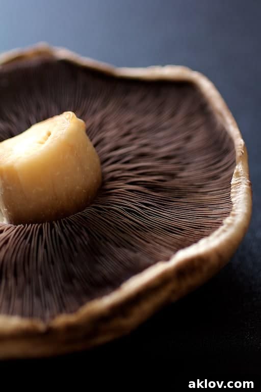 Close-up photo of the gills of a Portobello mushroom, showcasing its meaty texture.