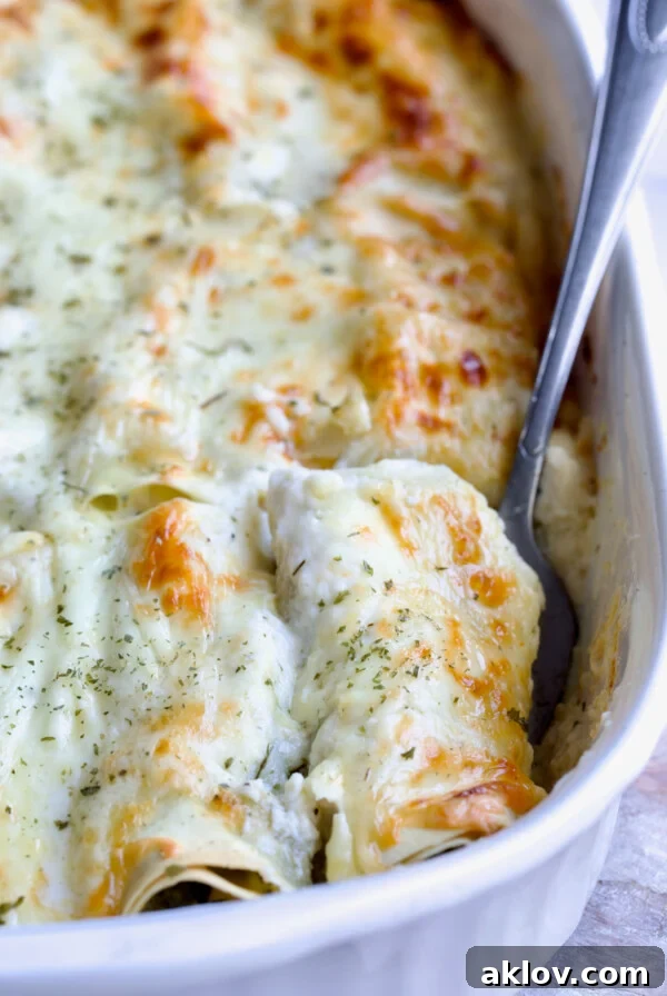Serving fork picking up a Cannelloni with Chicken, Spinach and Artichokes from white baking dish.