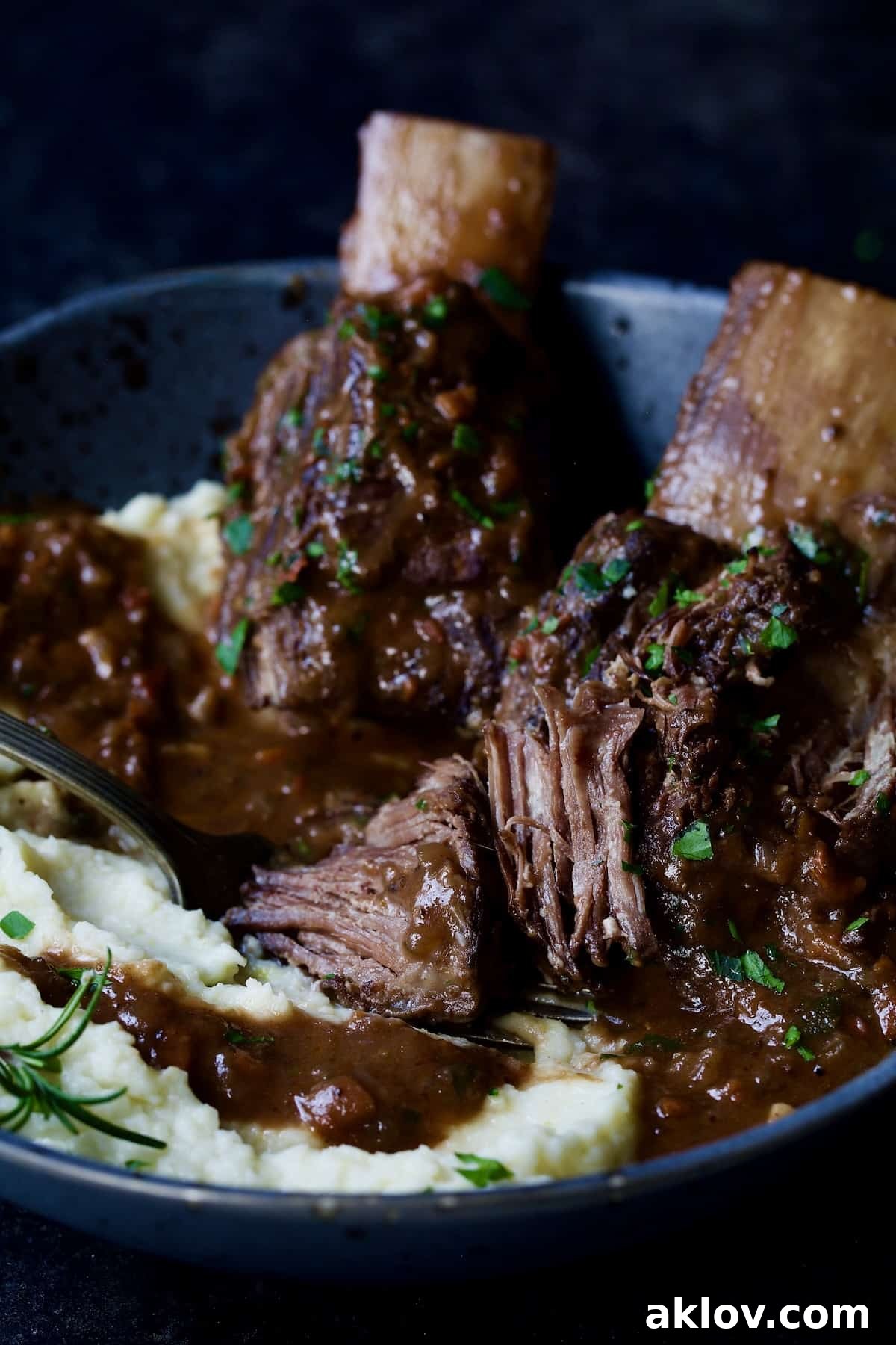 Two beef short ribs in a gray bowl, elegantly plated with creamy cauliflower puree.