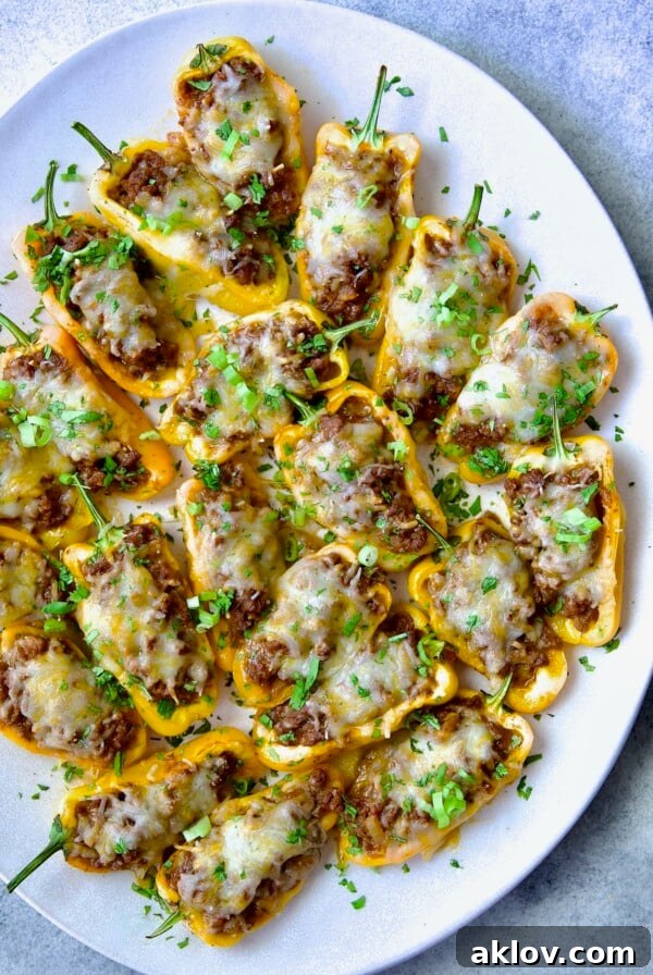 Mini Pepper Taco Poppers 14 Taco-Stuffed Mini Peppers on white oval platter garnished with thinly sliced scallion and chopped cilantro.