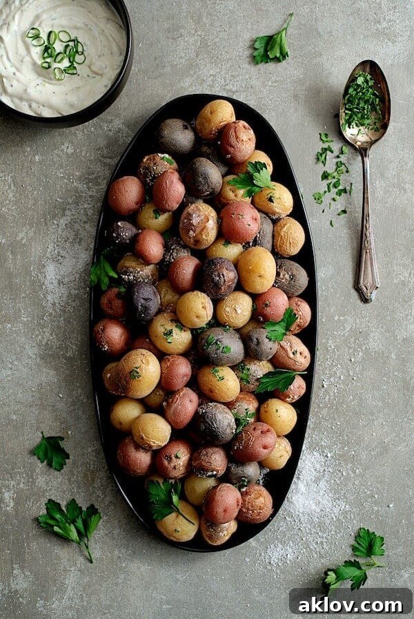 Skillet Salt Roasted Baby Potatoes with Sour Cream Horseradish Sauce on black platter, a sophisticated appetizer or side.