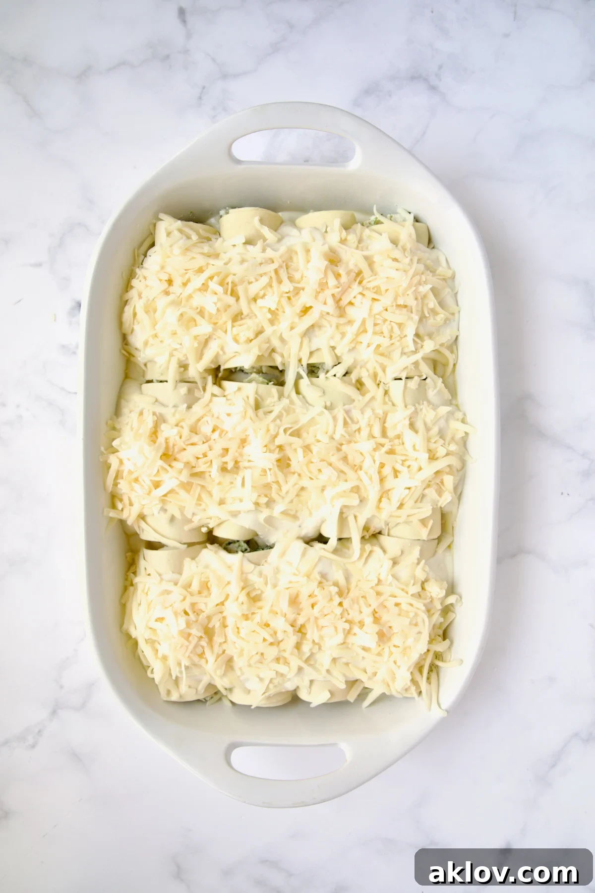 Assembled and sauced cannelloni in oval baking dish before being baked.