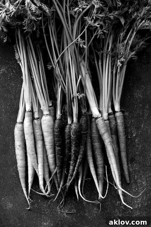 An artistic black and white photo of fresh carrots with their green tops still attached, highlighting their natural form.