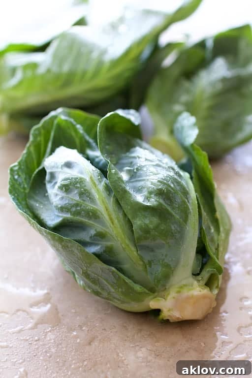 Close-up photo of fresh, uncooked cabbage sprouts with vibrant green leaves.