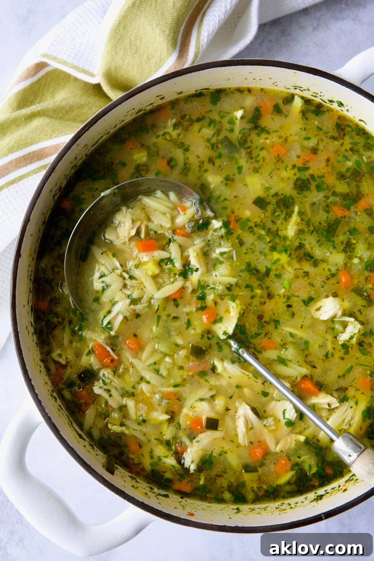 Chicken Vegetable Soup with Orzo in white Dutch oven.