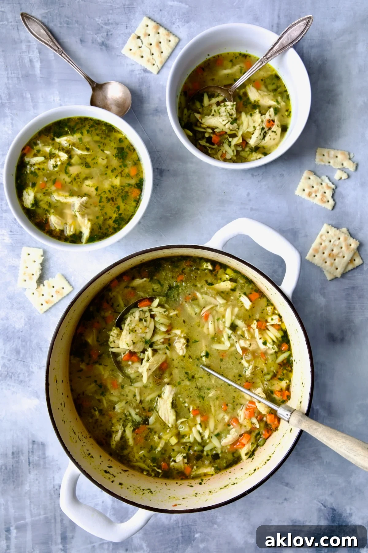 Chicken Vegetable Soup with Orzo in white Dutch oven and two bowls.