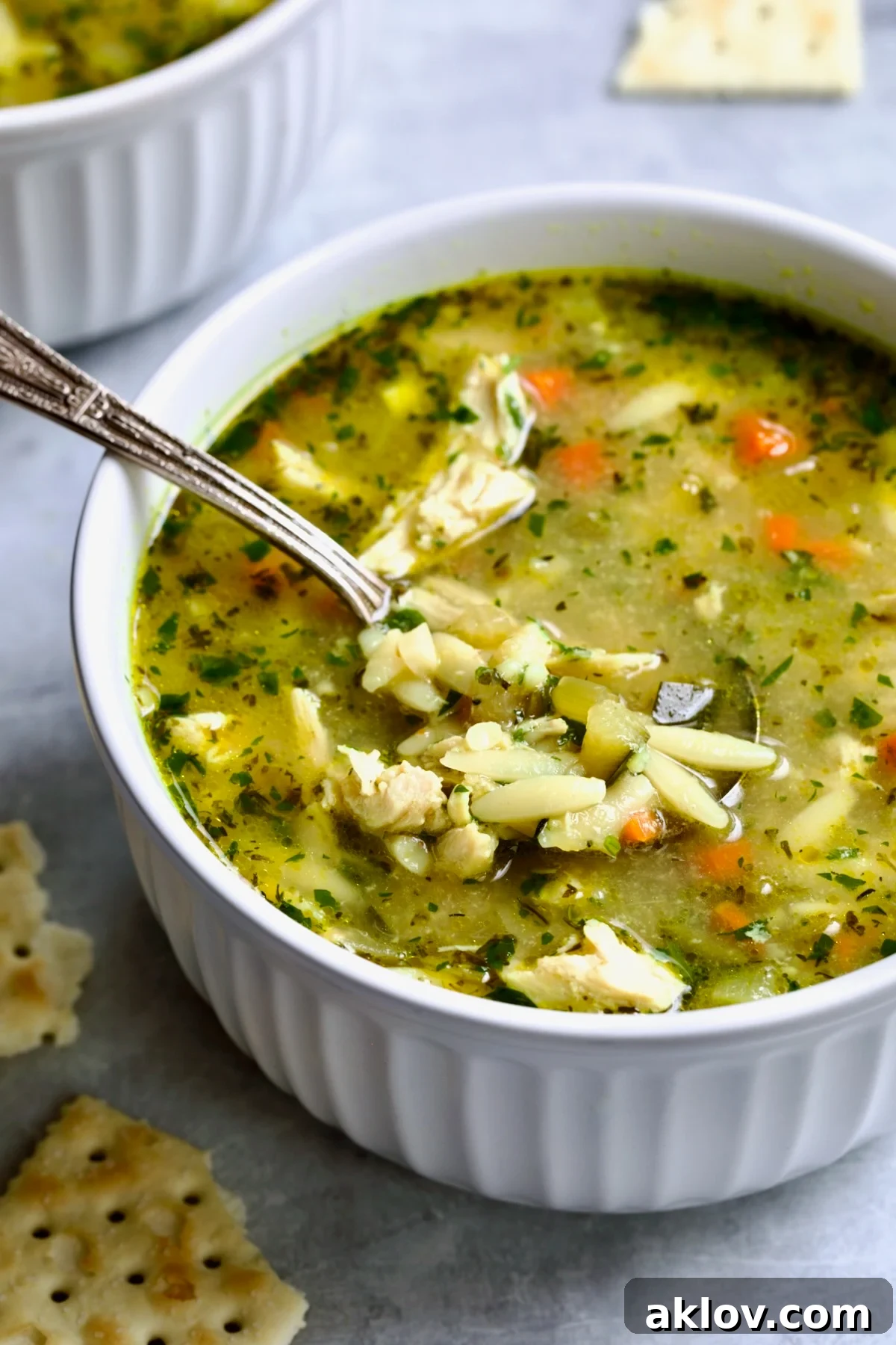 One serving of Chicken Vegetable Soup with Orzo in white bowl.