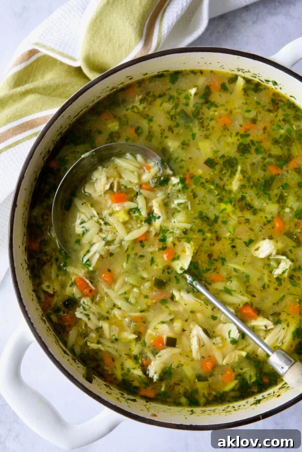 Chicken Vegetable Soup with Orzo in white Dutch oven.