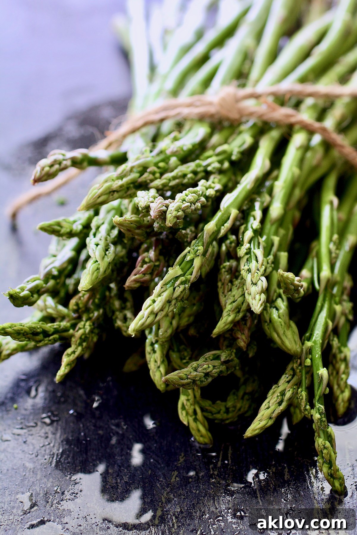 A fresh bunch of green asparagus, neatly tied with twine, emphasizing its raw beauty and freshness.