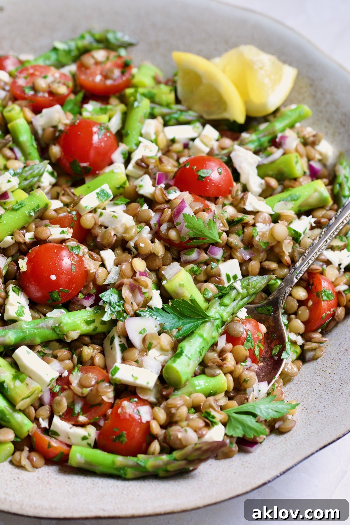 Close-up of the delicious Lemony Lentil Salad, showcasing the perfectly cooked lentils, crisp asparagus, and juicy tomatoes, in a round earthenware serving bowl.