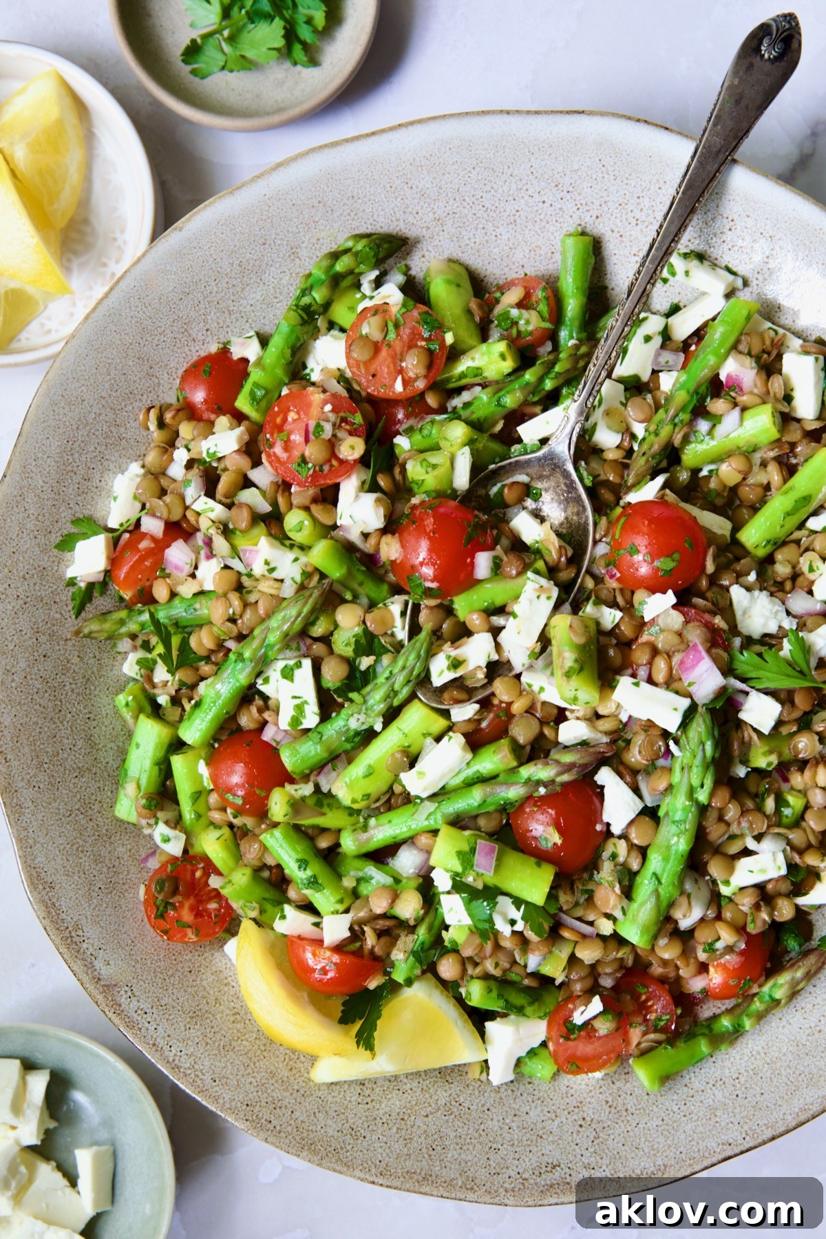 A tantalizing close-up of the Lemony Lentil Salad, beautifully presented in an earthenware bowl, highlighting the fresh ingredients and inviting texture, ready to be served.