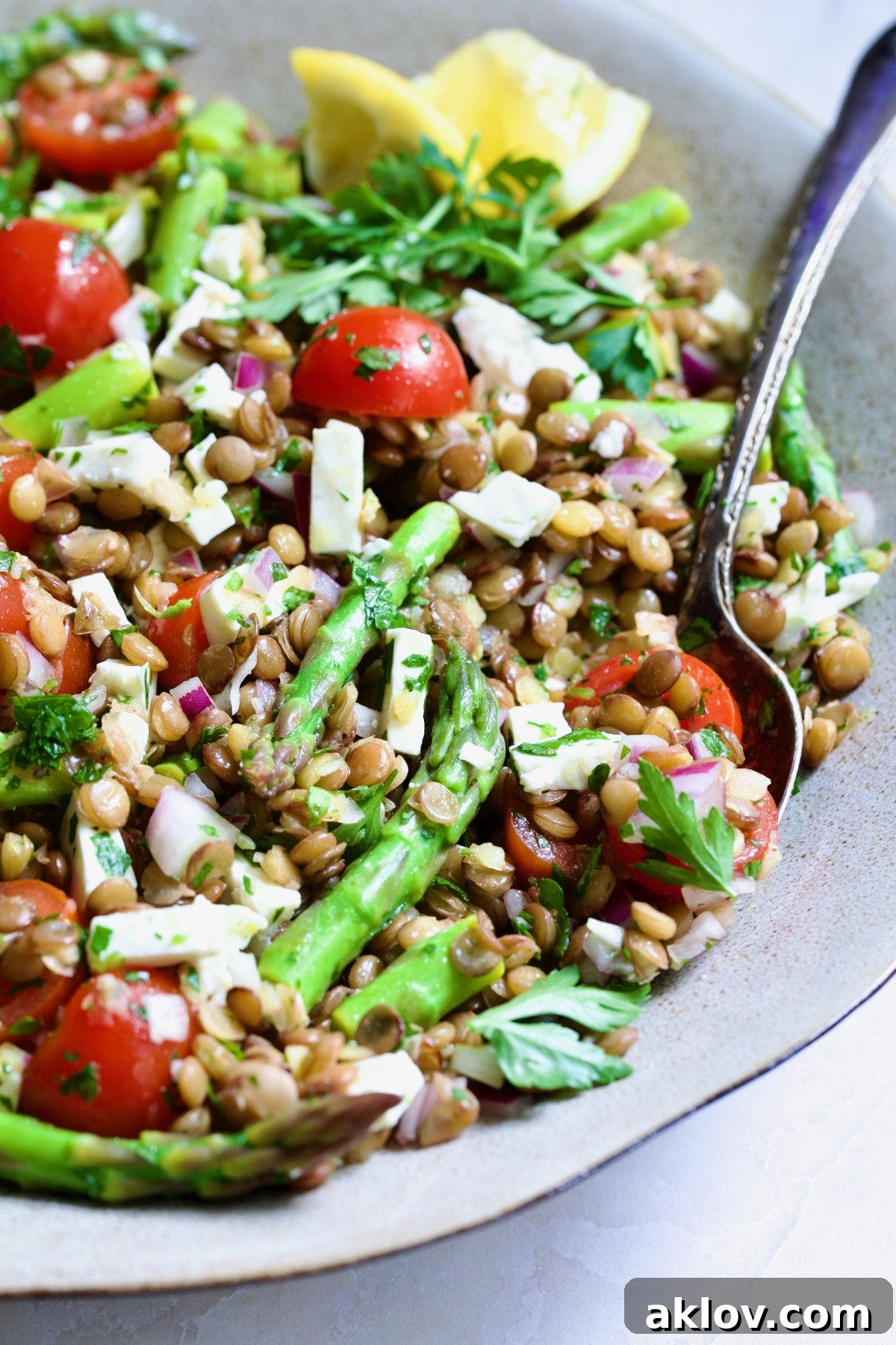 Close-up of Lemony Lentil Salad with Asparagus and Cherry Tomatoes, adorned with crumbled feta, in a round earthenware serving bowl with a wooden serving spoon.
