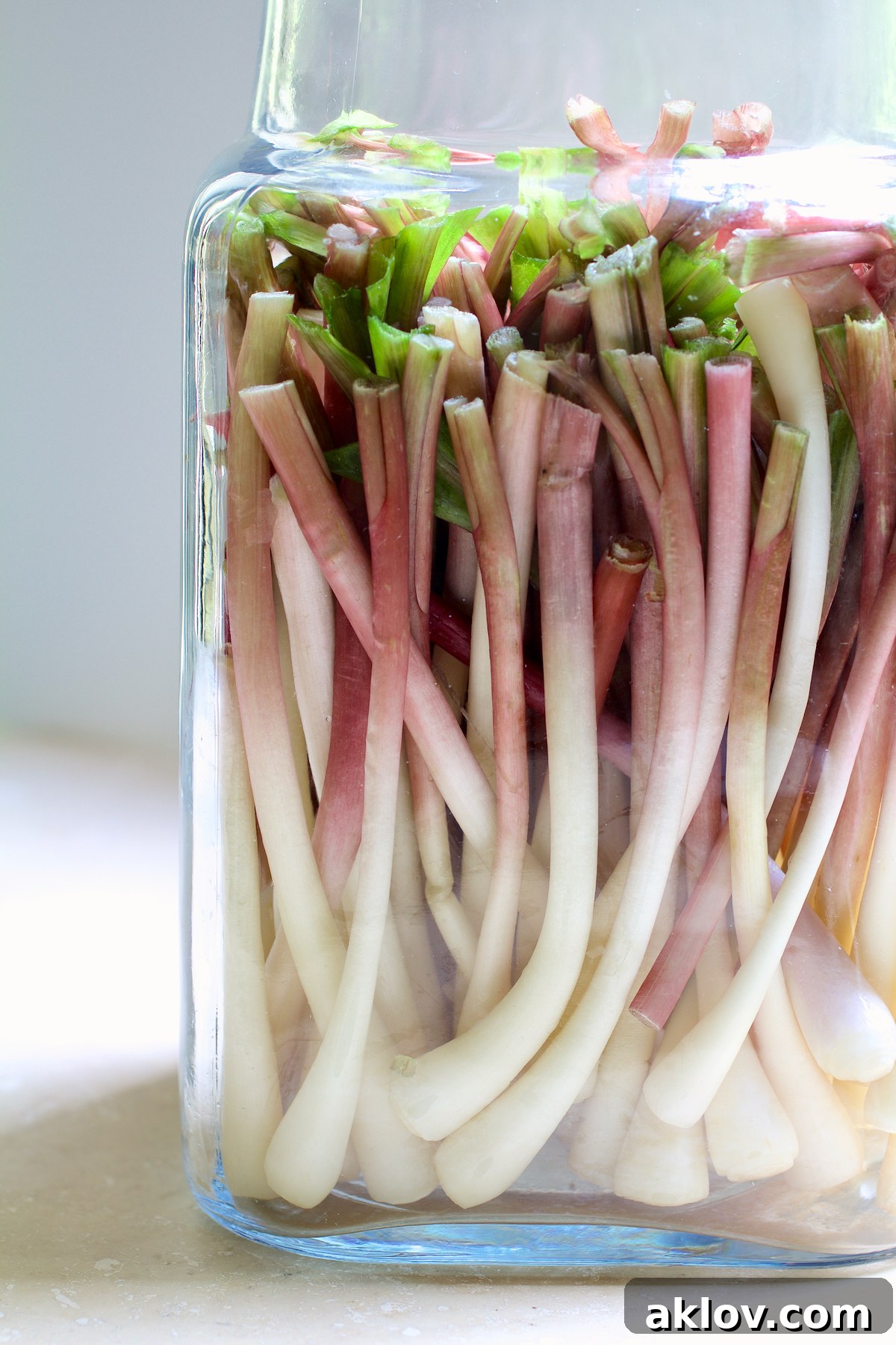 Ramps meticulously arranged and tightly packed inside a clear glass jar, standing upright and awaiting the flavorful pickling brine.