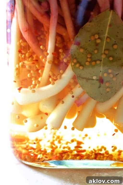 Ramps in pickling brine in glass jar, a perfect example of preserved spring flavor.