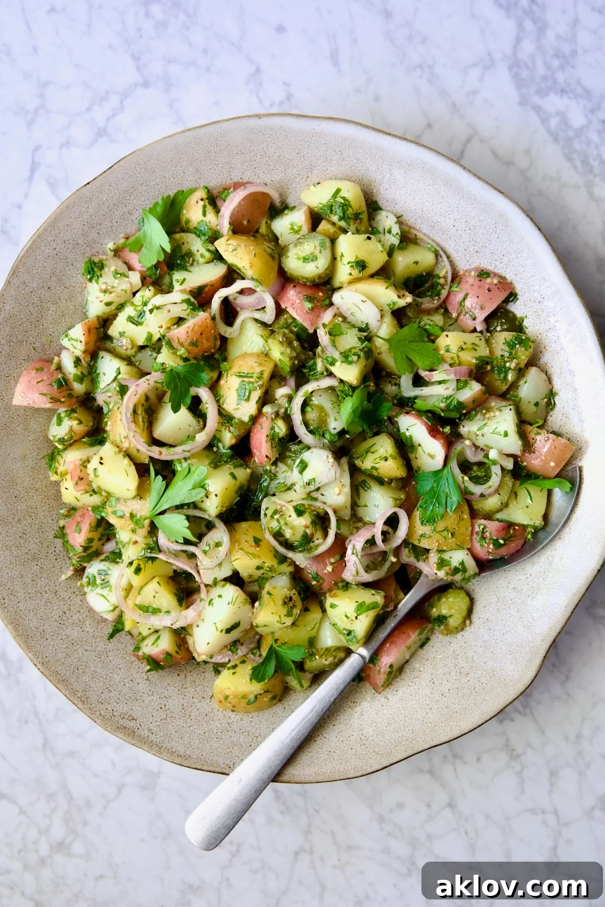 Herb and Vinegar Potato Salad in earthenware bowl with serving fork.