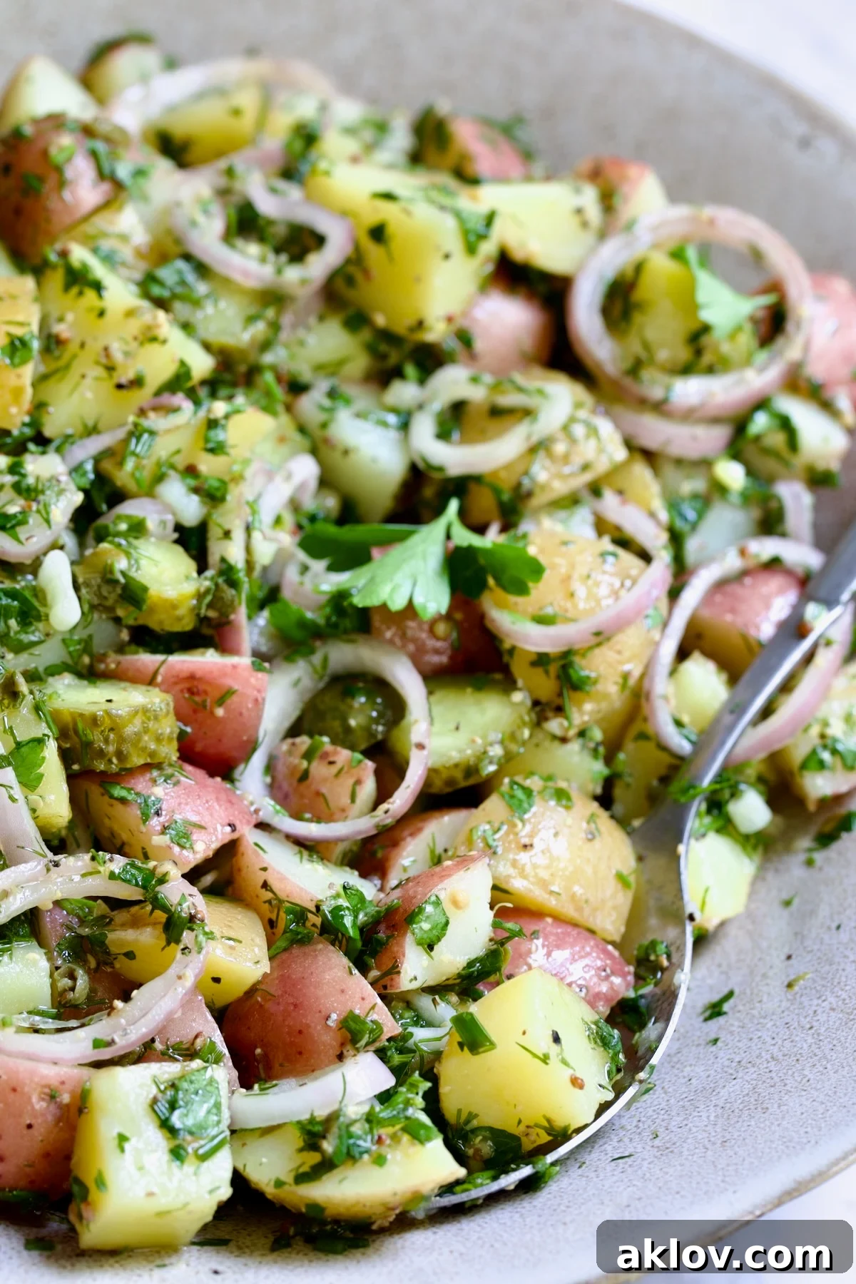 Herb and Vinegar Potato Salad in earthenware bowl with serving fork.