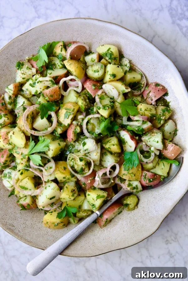 Herb and Vinegar Potato Salad in earthenware bowl with serving fork.
