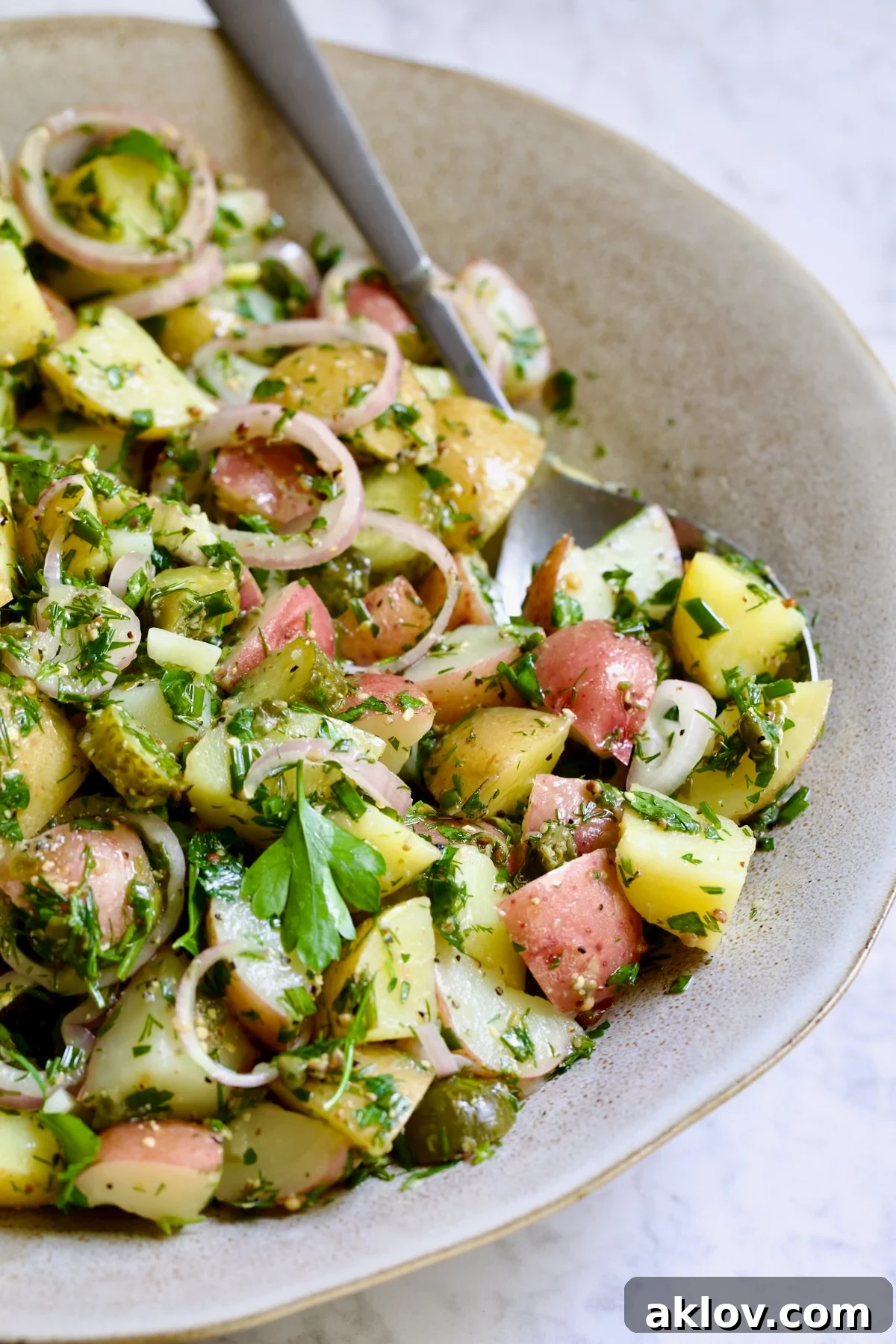 Herb and Vinegar Potato Salad in earthenware bowl with serving fork.