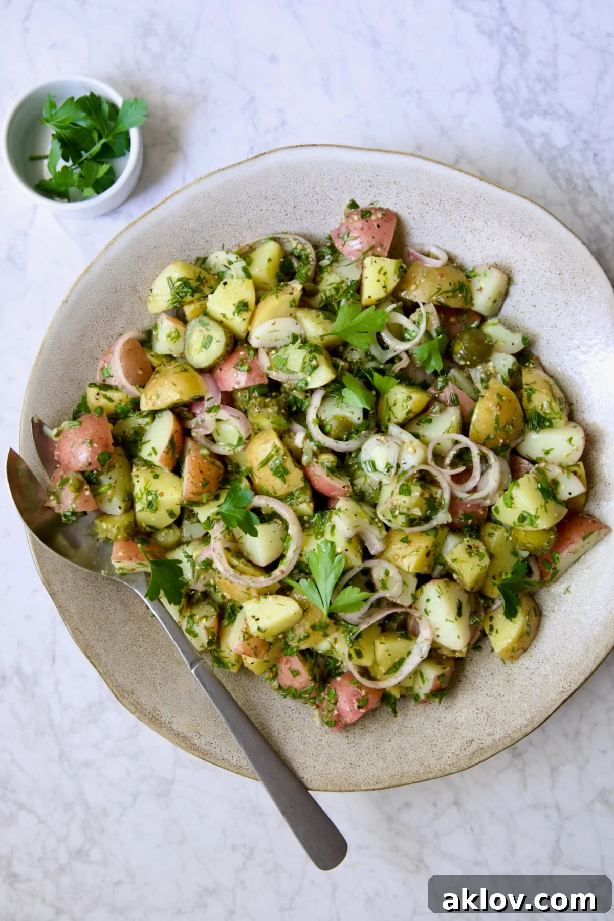 Herb and Vinegar Potato Salad in earthenware bowl with serving fork.